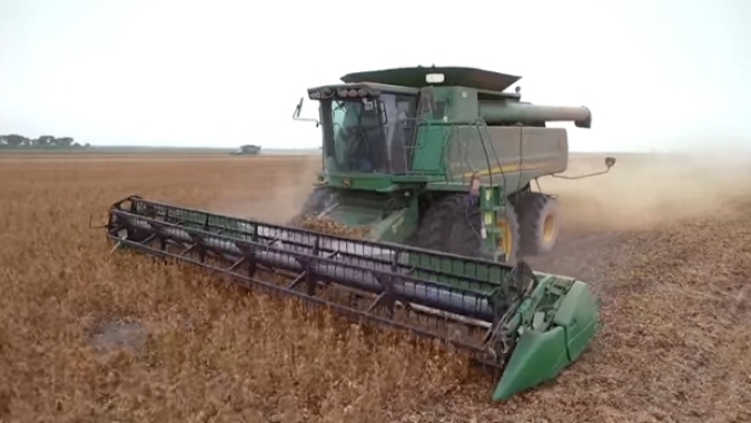 Colheita de soja em Mato Grosso atinge 1,4% da área, mantendo atraso inicial, diz Imea