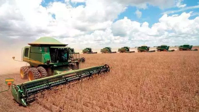 Colheita da soja avança em Campos de Júlio/MT e produtividade está entre 58 e 64 sacas por hectare