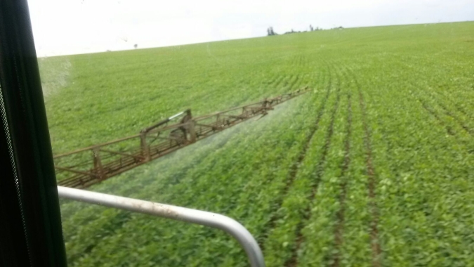 Reuters: Tribunal francês proíbe venda de dois herbicidas contendo glifosato