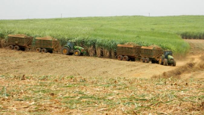 Após atingir US$ 18 c/lb, açúcar acumula na semana queda de mais de 3%