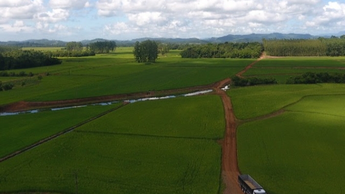 Epagri conclui mapeamento da área de arroz por imagens de satélite