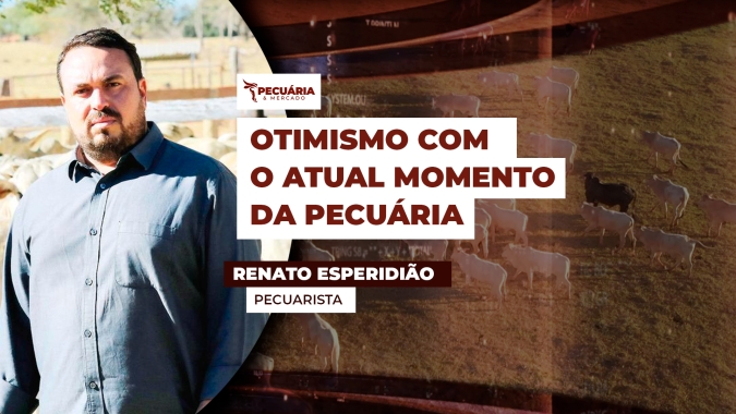 Pecuarista de Goiás está otimista com o mercado do boi e vê arroba entre R$340 e R$350 como patamar justo para negociações