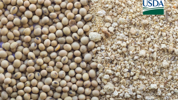 Novo boletim do USDA deve mexer nos números do farelo de soja; BR e Argentina em evidência