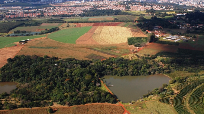 'Vamos tombar as fazendas de café', diz superintendente do Iphan em debate sobre a fazenda Santa Elisa, do IAC