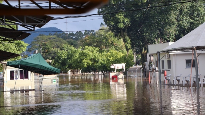 Enchente atinge frigorífico de suínos da Dália Alimentos e atividades são suspensas temporariamente
