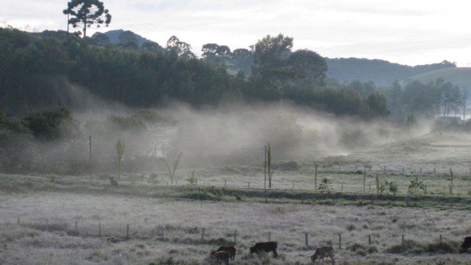 Onda de frio persiste pelo menos até sexta-feira sobre estados do Sul e Sudeste