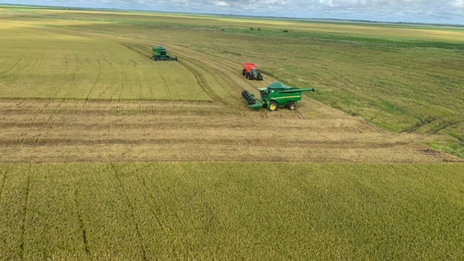 Região Norte do Pará começou a colher o arroz de sequeiro e se prepara para safra irrigada
