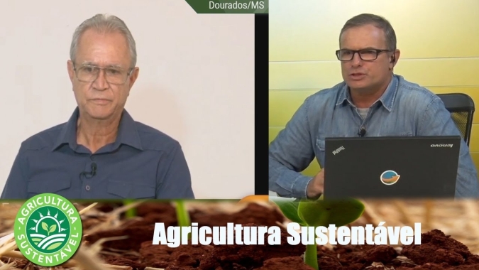 Perfil de solo não se compra na loja da esquina:" tem de fazer com capricho", diz o prof. Luiz Carlos