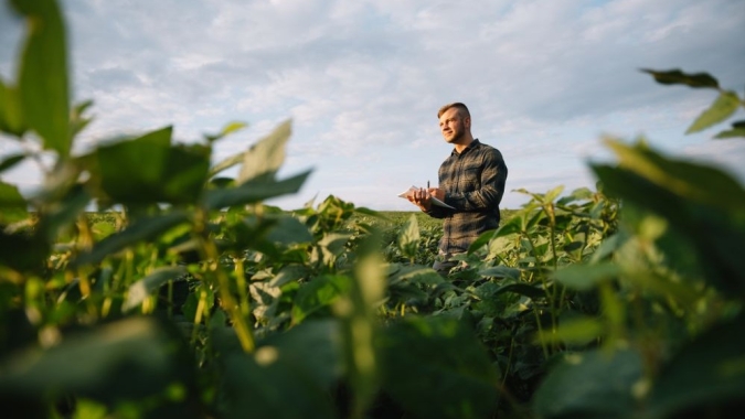 Mão-de-Obra no agro, por Marco Lorenzzo Cunali Ripoli, Ph.D.