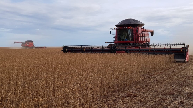 Agroconsult vê safra de soja 20/21 do Brasil em 132,6 mi t; plantio pode subir mais