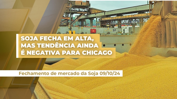Soja em Chicago sobe e tenta buscar ponto de equilíbrio para as cotações depois de cinco pregões seguidos de baixa