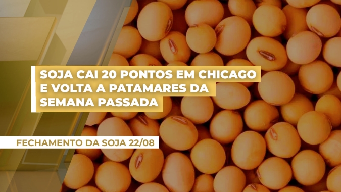 Valorização do dólar e bons resultados do Pro Farmer deram tom negativo a Chicago que fechou com 20 pontos de baixa