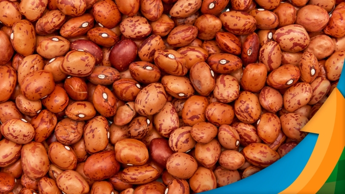 Pesquisa mostra troca de refeição saudável por salgados. O que pode ser feito para os brasileiros retomarem o hábito de comer feijão?