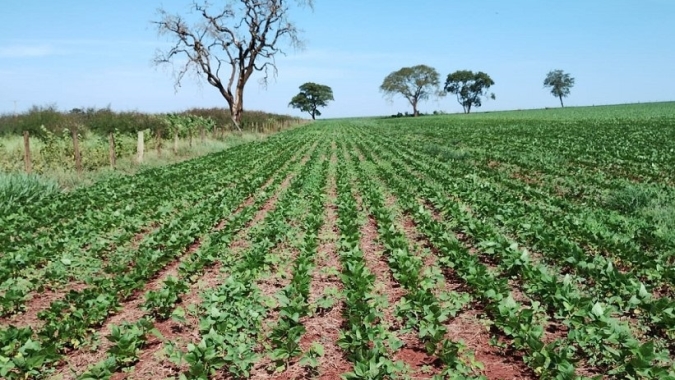 Minas Gerais aprova a dispensa de licenciamento ambiental para propriedade até mil hectares