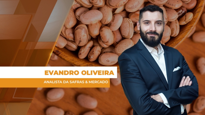 Colheita do feijão avança e preços ficam na dependência de aquecimento da demanda