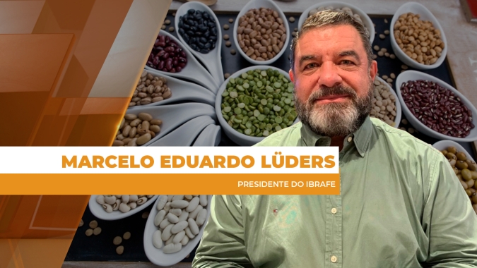 Clima afeta qualidade, feijões perdem valorização no mercado interno e comercialização segue lenta
