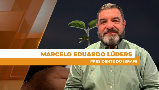 Mercado do feijão está estável, mas com perspectivas de melhores preços para os próximos meses