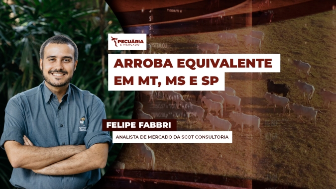 Arroba do boi segue firme com praças de MT e MS alcançando cotações de SP