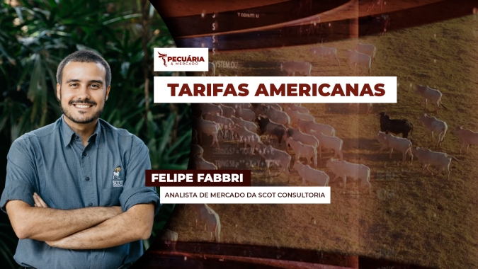 Frigoríficos antecipam impactos e ajustam estratégias diante da sobretaxa imposta pelo mercado norte-americano