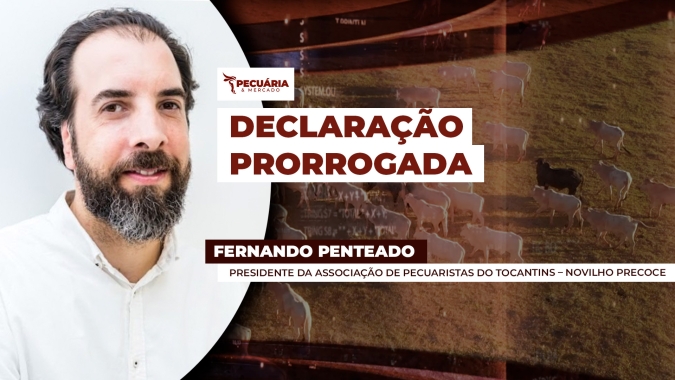 Declaração de Informações Pecuárias no Tocantins é prorrogada e falta de vacina está entre os motivos