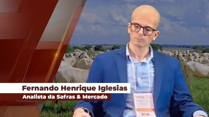 Analista projeta continuidade de altas para o preço da arroba bovina, podendo atingir os R$ 340,00 até o final do ano