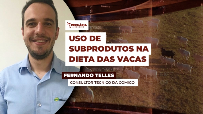 Especialista explica como escolher o subproduto e o que é preciso planejar antes de definir a dieta