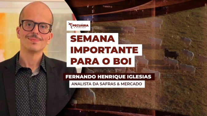 Aquecimento da demanda interna com início de mês e Dia das Mães pode limitar pressão de baixa da arroba do boi