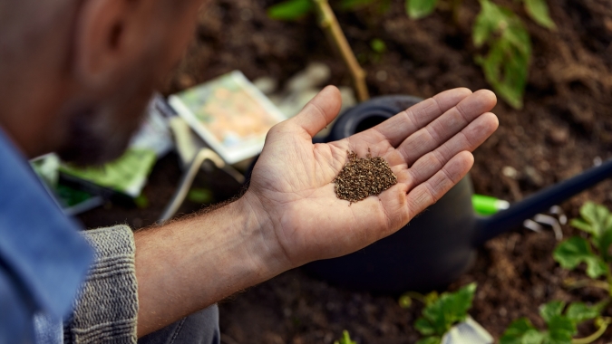 Solubilidade ideal de fósforo aumenta produtividade em culturas de ciclo curto