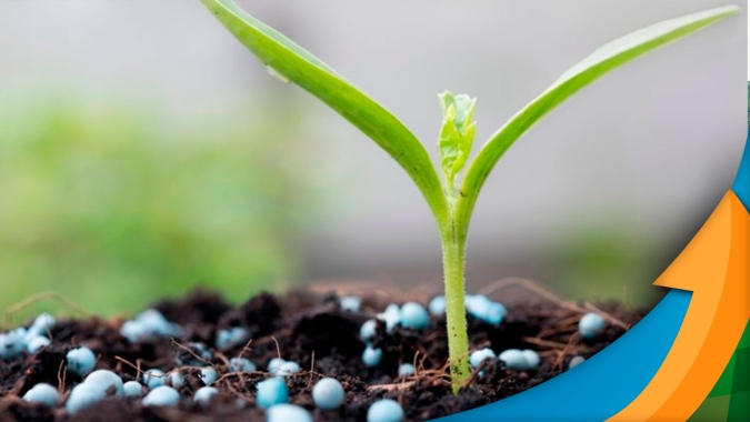 Diante de alto custo dos fertilizantes, Aprosoja MT alerta para opção de reduzir (ou até zerar) aplicações em 22/23