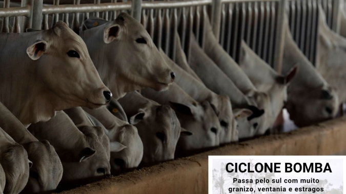 Terceira edição da Revista Digital Notícias Agrícolas sai amanhã (03/07)