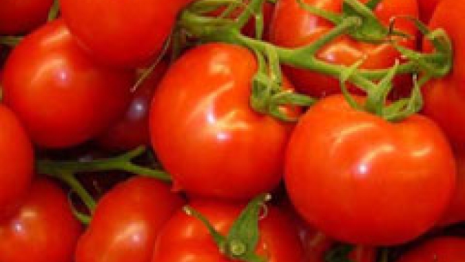 Dia do Tomate é comemorado nesse sábado,  01 de fevereiro