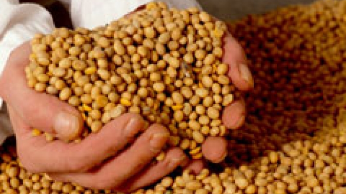 Levantados custos de produção de grãos em Campos Novos