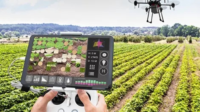 Embratel lança solução de Inteligência Artificial para manejo estratégico de plantas daninhas nas culturas de soja e cana-de-açúcar
