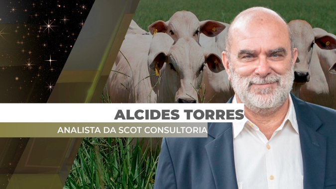 Em ano de muita oferta, demanda ajuda evitar o pior; para 2025 virada do ciclo só no 2º semestre
