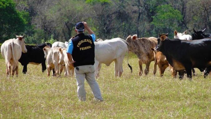 Em 2025, retomada do Fundo Federal Agropecuário é uma das prioridades do Anffa Sindical