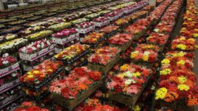 Venda de flores no Finados deve retomar ao patamar de 2019
