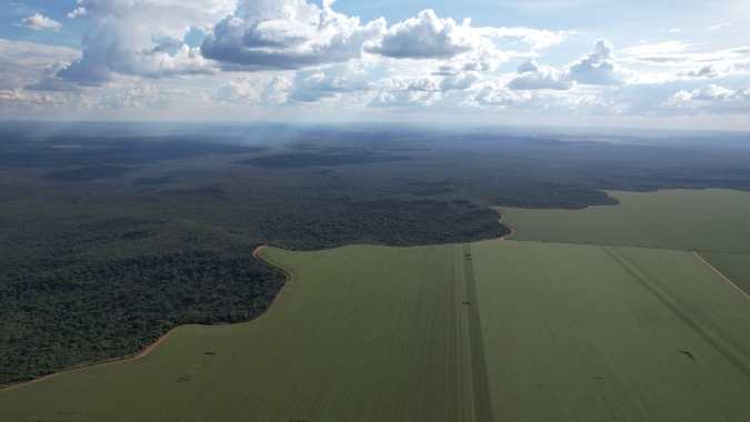 Vetos ao licenciamento ambiental travam modernização e reforçam insegurança jurídica, avalia especialista, por Adhemar Michelin Filho