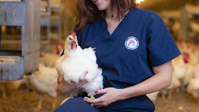 Não há linhas de chegada para o bem-estar animal, por Dra. Sara Reichelt