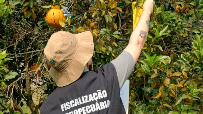 Fiscalização agropecuária do RS fez 29,2 mil ações em 2024