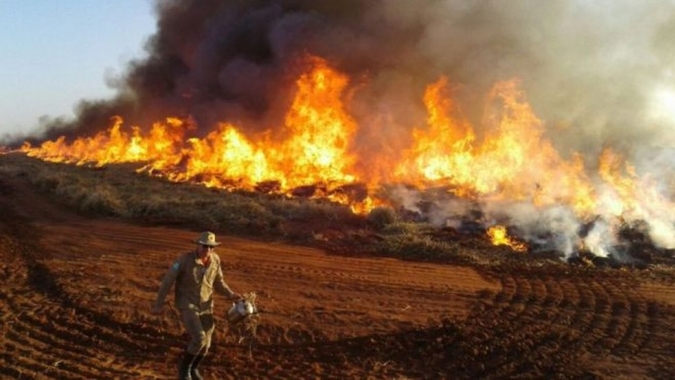 Multa ambiental em período de estiagem e risco de incêndio na lavoura, por Larissa Milkiewicz