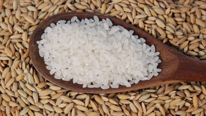 Crise do arroz: Supersafra projetada, preços em queda e problemas de liquidez impactam negativamente o mercado brasileiro