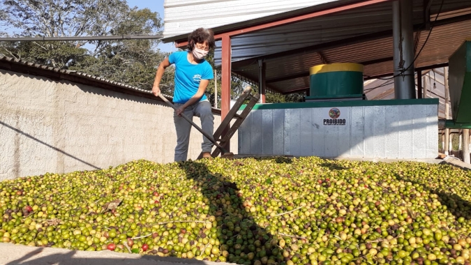 Sustentabilidade: um novo aroma para o café brasileiro