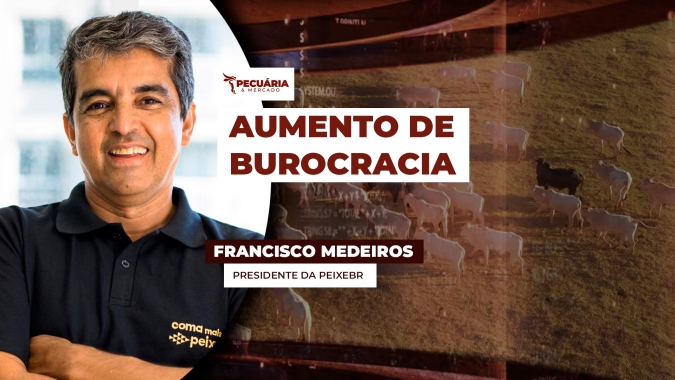 Novas regras para documentação usada no transporte de peixes no Brasil só aumentam burocracia para o setor