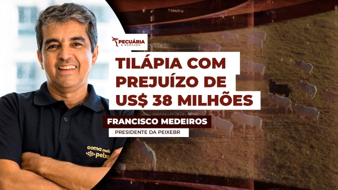 Classificação da tilápia como espécie invasora pode gerar prejuízo imediato de US$38 milhões para o setor, avalia PEIXE BR