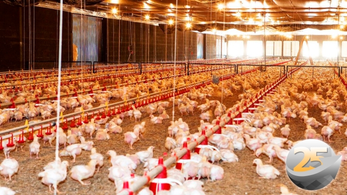 Lideranças da área da avicultura ressaltam pujança e resiliência do setor neste Dia Mundial do Frango