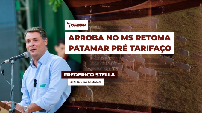 Frigoríficos de MS remanejam produção para mercado interno e ampliam vendas para China, México e Chile