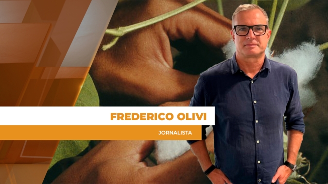 Biotecnologia garante à cotonicultura brasileira controle de lagartas e daninhas com eficiência e alto teto produtivo