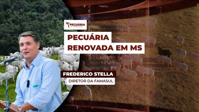 Pecuária em MS se reinventa depois de perder espaço para diversificação das atividades rurais