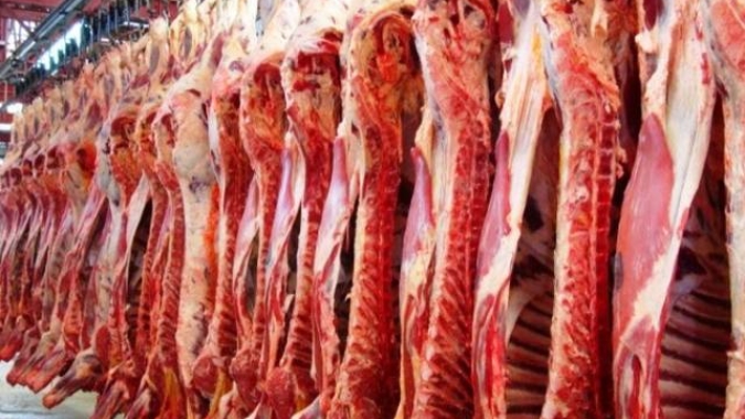 IBGE: Abates de bovinos, suínos e frangos crescem no 4° tri de 2024