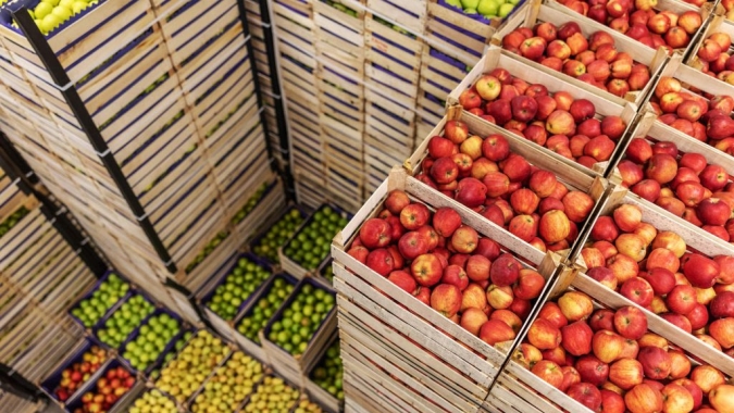 Volume de frutas exportadas do Brasil para a Europa cresce 19% em 2025 e expectativa é de que acordo com UE amplie esse mercado nos próximos anos